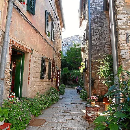 House Pulic Appartement